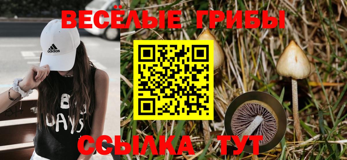Галлюциногенные грибы Magic Shrooms  Вход с VPN  Губкинский 