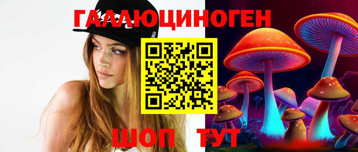 Псилоцибиновые грибы Cubensis Губкинский